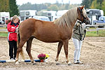 Pyrypolun Doris