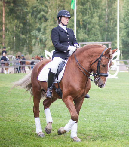 Kevätrinteen Vilteri